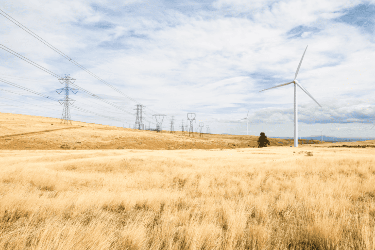 Wind turbines neighbor transmission lines, connecting clean energy to the homes and businesses that need electricity. Photo by Ian Dewar Photography, via Shutterstock.
