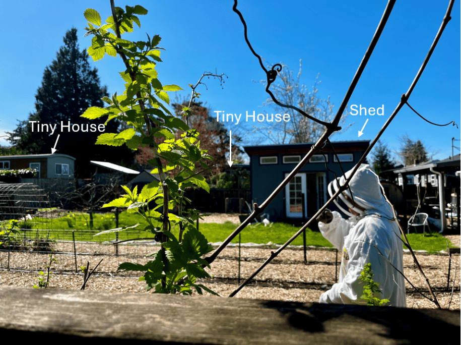 A Cully resident working in his garden confirmed that the structure to the right was his gardening shed, but that both neighbors adjacent to him had tiny homes with people living in them. Photo by Catie Gould. 