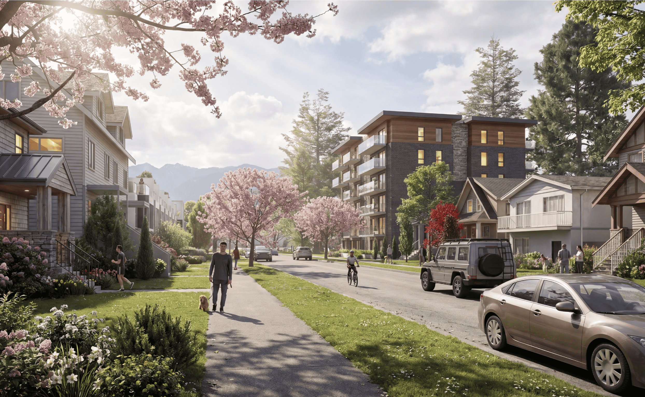 Illustration of a Village residential area with a mix of housing along a residential street