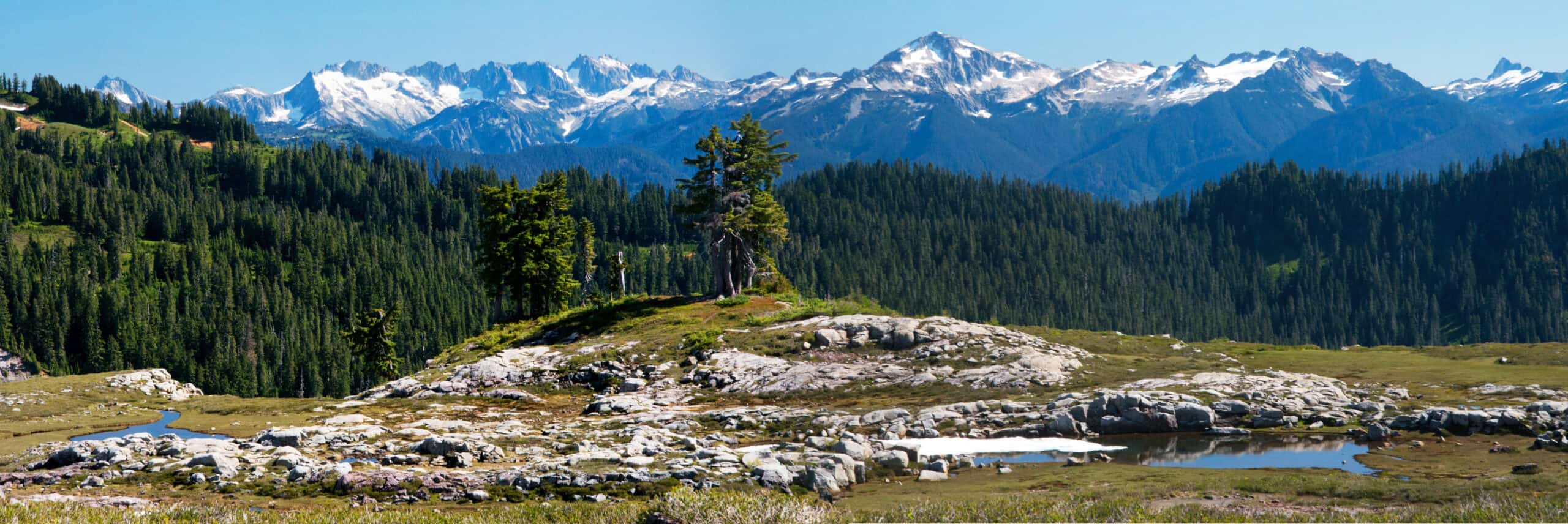 Cascades panorama from the upper meadow below Park Butte.